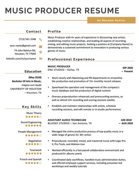 Music Producer Resume Template